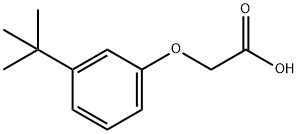 2-(3-叔丁基苯氧基)乙酸