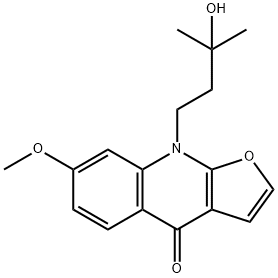 acrophyllidine