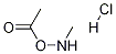 O-乙酰基-N-甲基羟胺盐酸盐