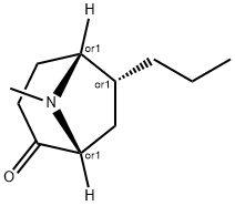 8-Azabicyclo[3.2.1]octan-2-one,8-methyl-6-propyl-,(1R,5R,6R)-rel-(9CI)