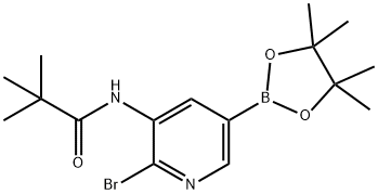 N-(2-溴-5-(4,4,5,5-四甲基-1,3,2-二氧杂环戊硼烷-2-基)吡啶-3-基)三甲基乙胺