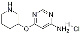 6-(哌啶-3-基氧基)-嘧啶-4-基胺盐酸盐