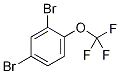 2,4-二溴三氟甲氧基苯