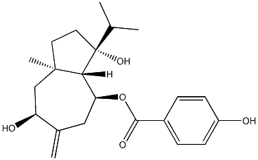 Ferugin