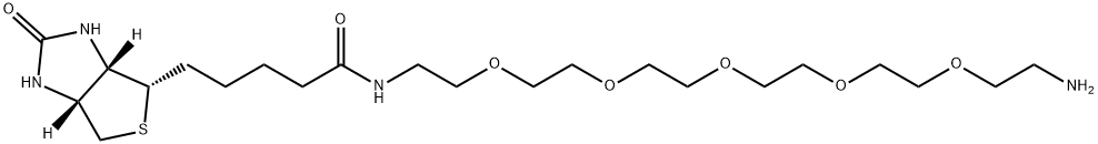 生物素-六聚乙二醇-氨基