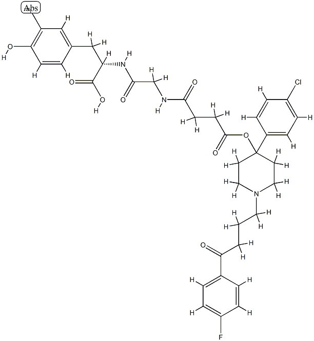 haloperidol-succinylglycyliodotyrosine