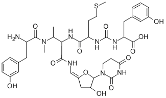 MureidomycinB