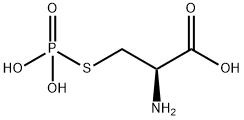 S-phosphocysteine