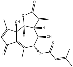 montacephalin