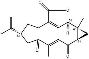 Gersolide