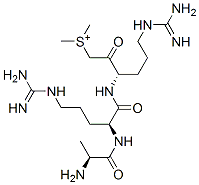 alanyl-arginyl-arginylmethyldimethylsulfonium