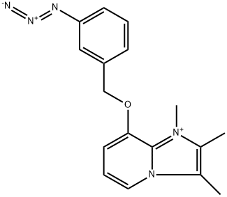 8-(3-azidophenylmethoxy)-1,2,3-trimethylimidazol(1,2-a)pyridinium