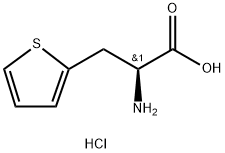 H-Β-(2-噻吩基)-L-丙氨酸盐酸盐