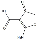 3-Furancarboxylicacid,2-amino-4,5-dihydro-4-oxo-(9CI)