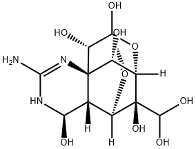 11-oxotetrodotoxin