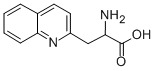 3-(2-喹啉基)-DL-丙氨酸