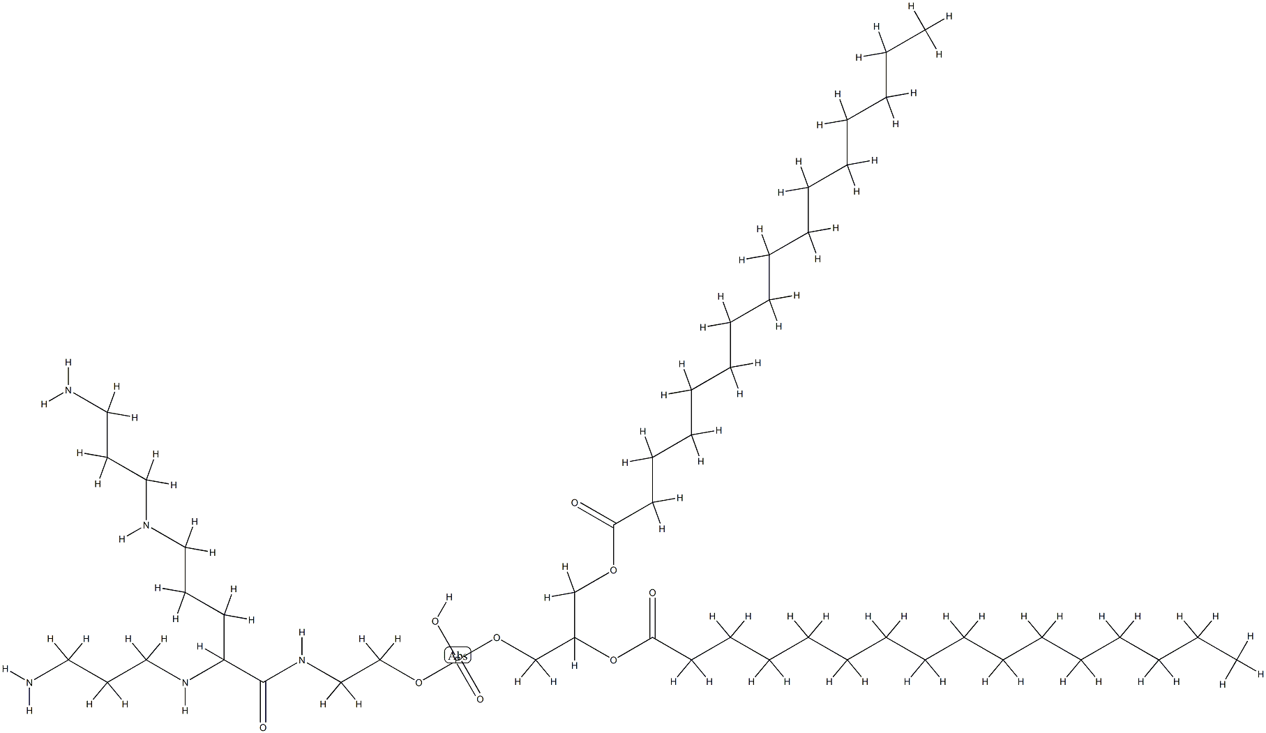 1,2-dipalmitoylphosphatidylethanolamidospermine