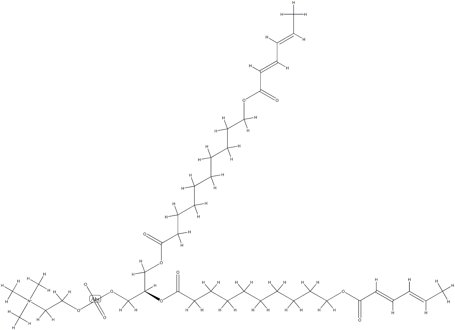 1,2-bis(10(2',4'-hexadienoyloxy)decanoyl)-sn-glycero-3-phosphocholine