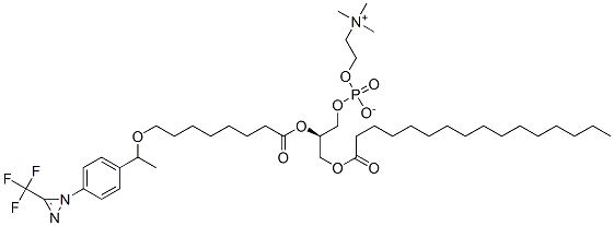 1-palmitoyl-2-(10-(4-((trifluoro-methyl)diazirinyl)phenyl)-9-oxaundecanoyl)-sn-glycero-3-phosphocholine