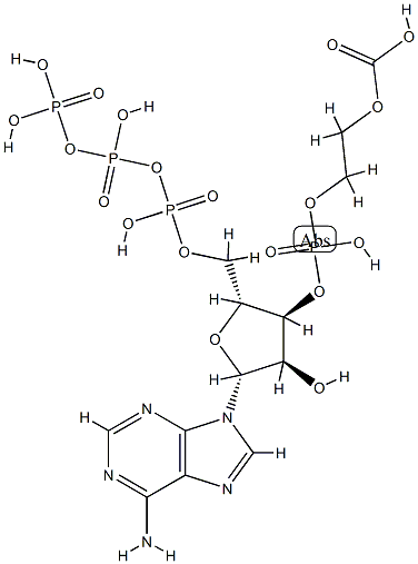 phosphoglyceroyl-ATP
