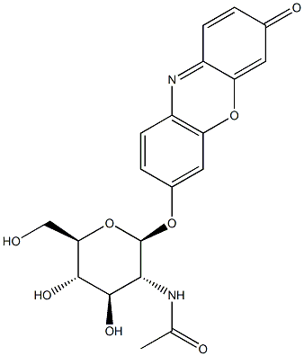 7-[[2-(乙酰氨基)-2-脱氧-BETA-D-吡喃葡萄糖基]氧基]-3H-吩恶嗪-3-酮