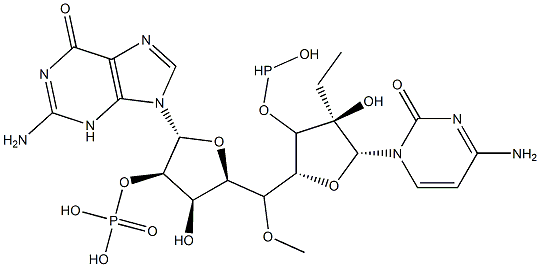 poly(deoxyguanosyl-5-ethyldeoxycytidine)