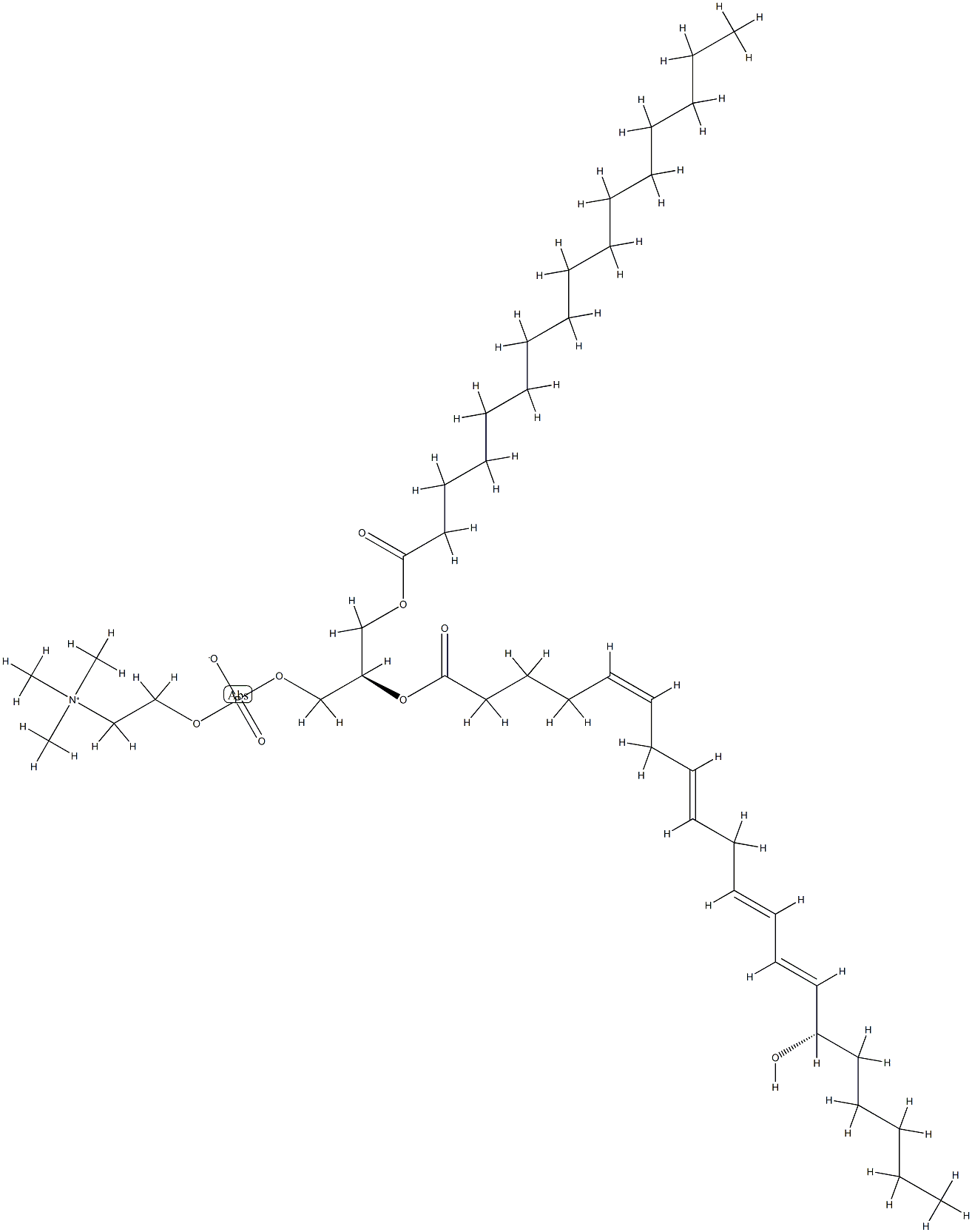 1-palmitoyl-2-(15-hydroxy-5,8,11,13-eicosatetraenoyl)-glycero-3-phosphocholine