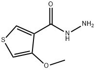 4-METHOXYTHIOPHENE-3-CARBOHYDRAZIDE