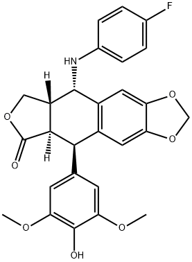 NPF-etoposide