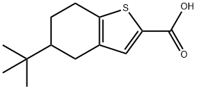 5-叔丁基-4,5,6,7-四氢苯并噻吩-2-羧酸