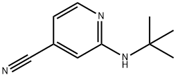 2-(tert-butylamino)isonicotinonitrile