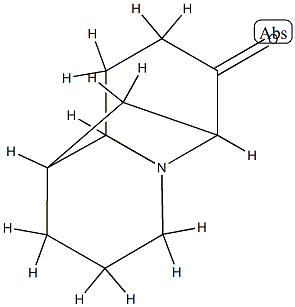 1,6-Methano-2H-quinolizin-7(6H)-one,hexahydro-(9CI)
