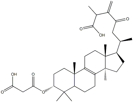 3ALPHA-羧基乙酰氧基-24-亚甲基-23-氧代羊毛甾-8-烯-26-酸