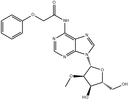 2'-O-Methyl-N6-phenoxyacetyladenosine