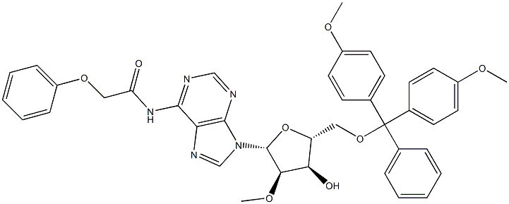 5'-O-[二(4-甲氧基苯基)苯基甲基]-2'-O-甲基-N-(2-苯氧基乙酰基)腺苷