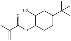 4-tert-butyl-2-hydroxycyclohexylmethacrylate