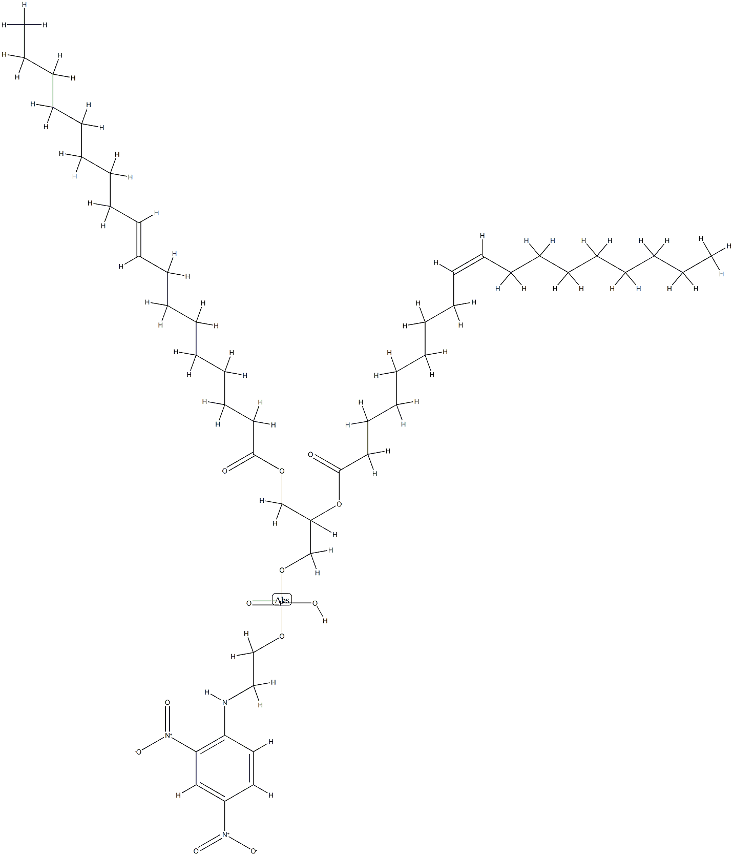 2,4-dinitrophenyl-dioleoylphosphatidylethanolamine