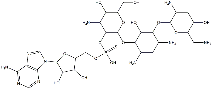 2''-(adenosine-5'-thiophosphoryl)tobramycin