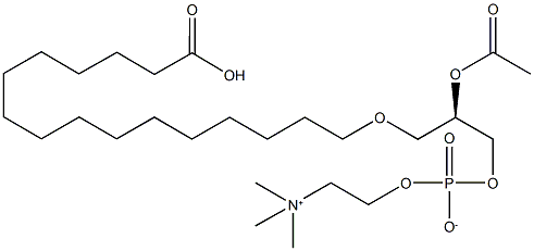 1-O-(15-carboxypentadecyl)-2-O-acetylglycero-3-phosphorylcholine