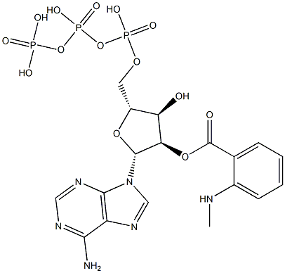 2'-O-(N-methylanthraniloyl)ATP