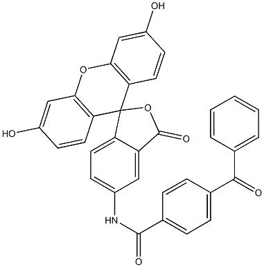 4-benzoyl(benzoyl)-1-amidofluorescein