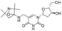 5-(((2,2,5,5-tetramethyl-1-oxy-3-pyrrolidinyl)amino)methyl)-2'-deoxyuridine