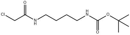 N-[4-(2-氯乙酰氨基)丁基]氨基甲酸叔丁酯