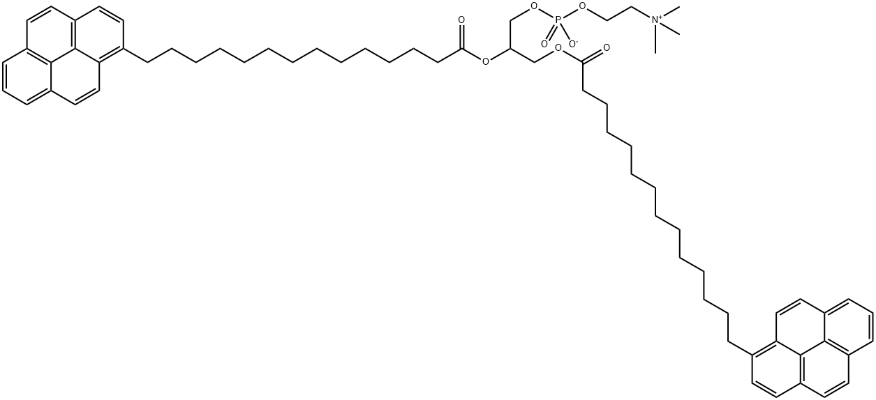 di-(1'-pyrenemyristoyl)phosphatidylcholine