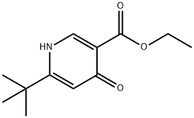 6-叔丁基-4-氧代-1,4-二氢吡啶-3-羧酸乙酯