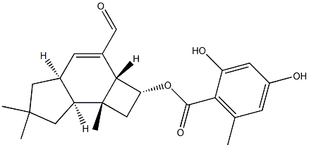 armillarivin