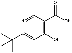 6-(叔丁基)-4-羟基烟酸