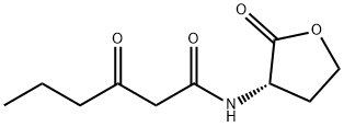 N-3-氧-己酰高丝氨酸内酯