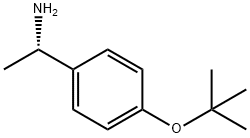1(R,S)-(对叔丁氧基苯基)乙胺