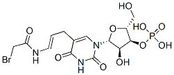 5-(3-(bromoacetamido)allyl)uridine-3'-monophosphate